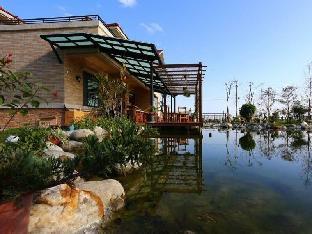 the wonderland bed and breakfast