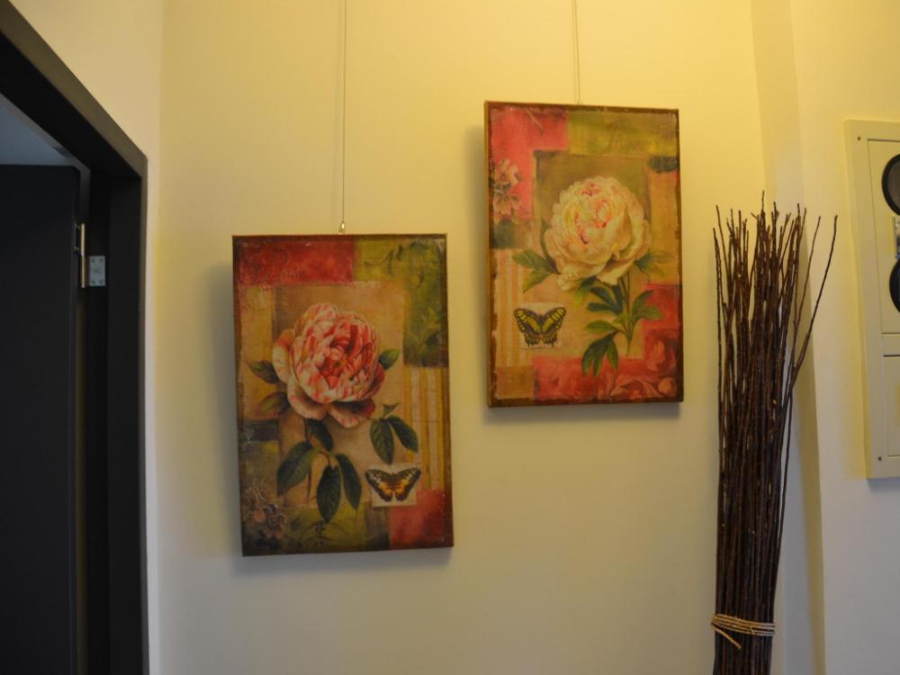 43and13 room store bandb