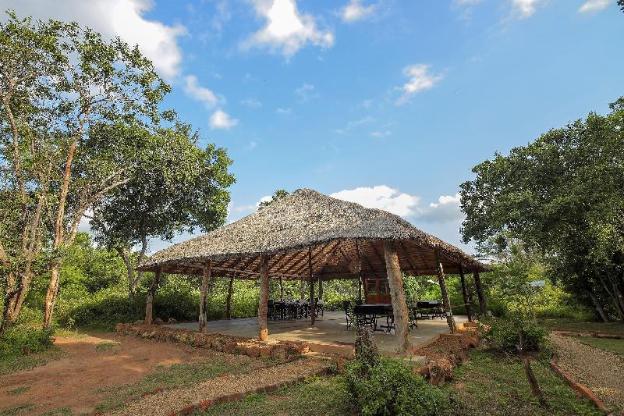 ceylon wild safaris