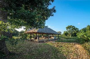 ceylon wild safaris