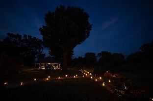 ceylon wild safaris