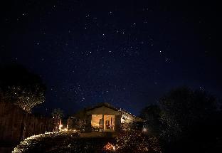 ceylon wild safaris