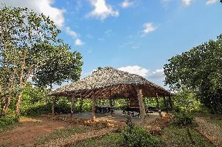 ceylon wild safaris