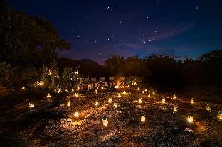 ceylon wild safaris
