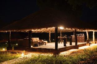 ceylon wild safaris