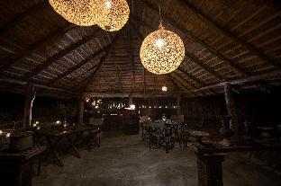 ceylon wild safaris