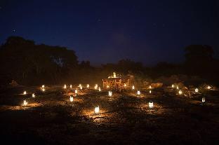 ceylon wild safaris