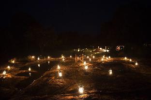 ceylon wild safaris