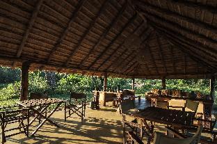 ceylon wild safaris