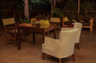 ceylon wild safaris