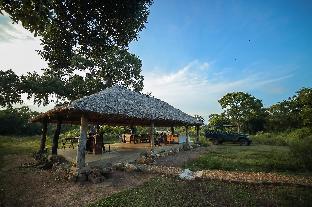 ceylon wild safaris