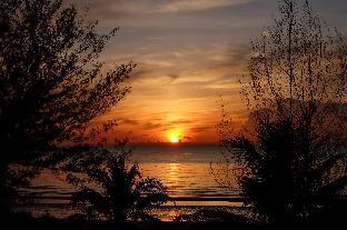 modern 4 bedrooms pool villa vy