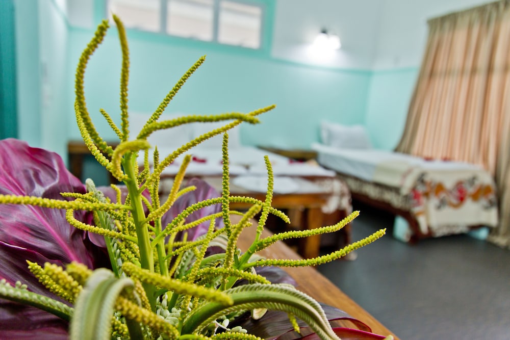 le uaina beach resort