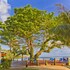 le uaina beach resort
