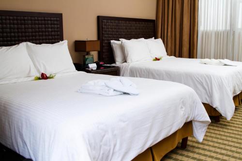 rincon del valle hotel and suites hotel