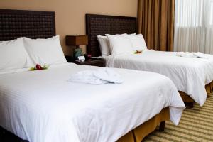rincon del valle hotel and suites hotel