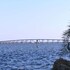 cape coral