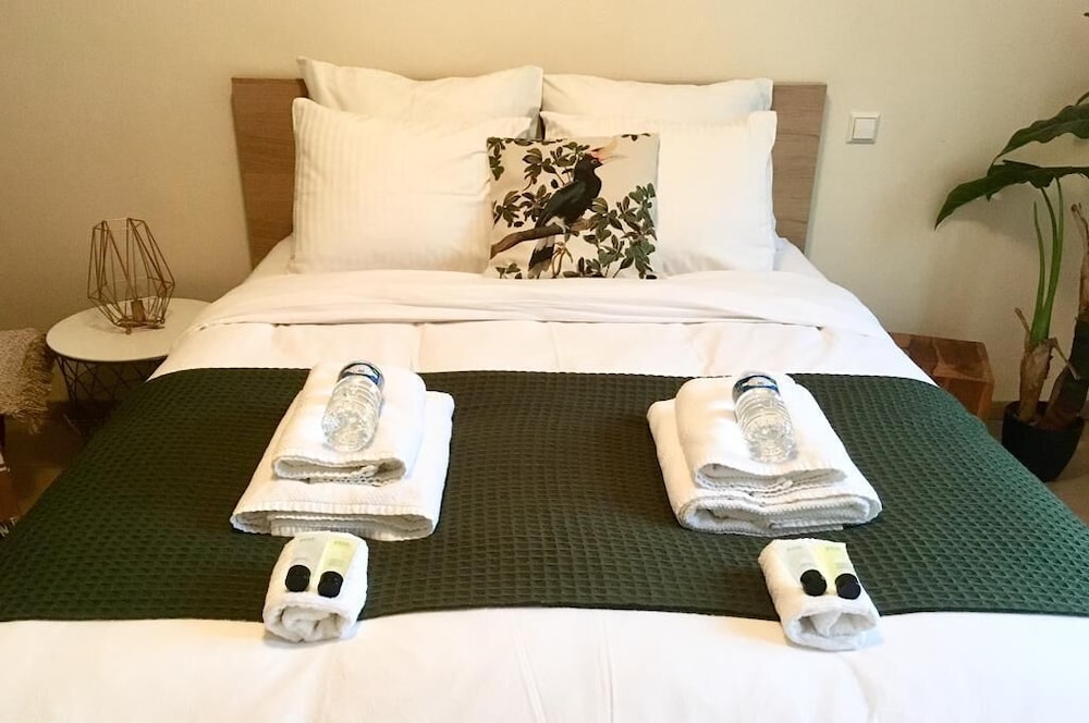 large modern flat 100m2 in city center parking