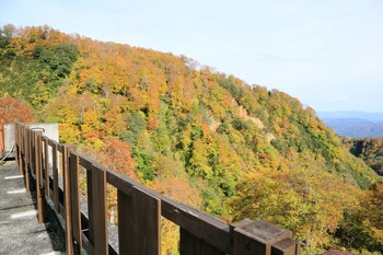 myoko