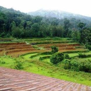 Valley Dew New,,5 star