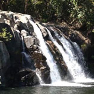 Valley Dew New,,5 star