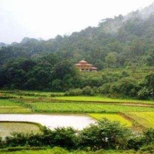 Valley Dew New,,5 star