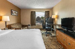 comfort inn highway 401