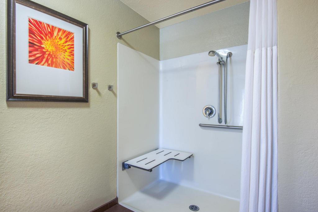 staybridge suites allentown west by ihg