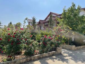 Shri Shail Inn,Nainital>>Mukteshwar,4 star