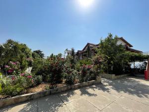 Shri Shail Inn,Nainital>>Mukteshwar,4 star