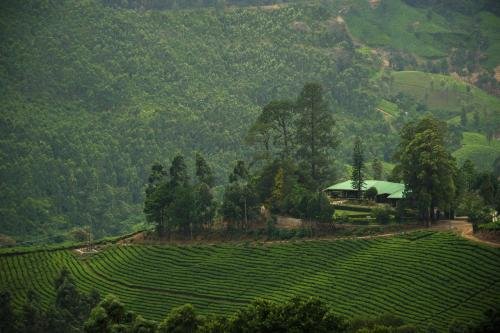 talayar valley bungalow