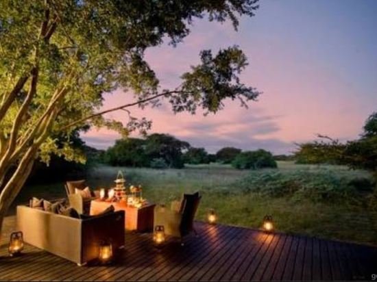 Trees & Tigers,,3 star
