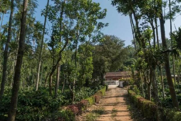 green glade coorg
