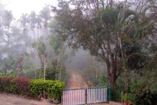 green glade coorg