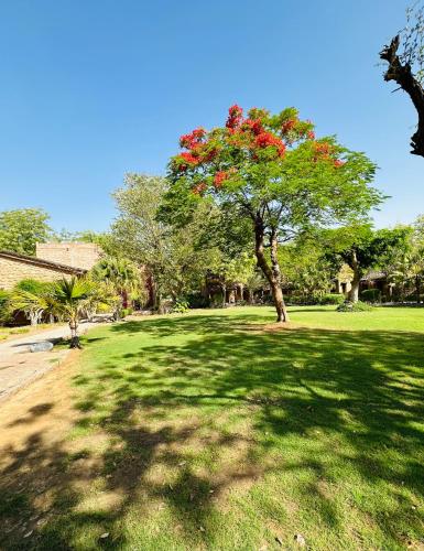 manvar shergarh the desert resort