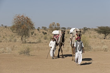 manvar shergarh the desert resort