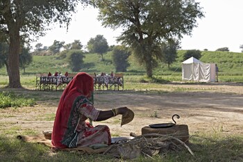manvar shergarh the desert resort