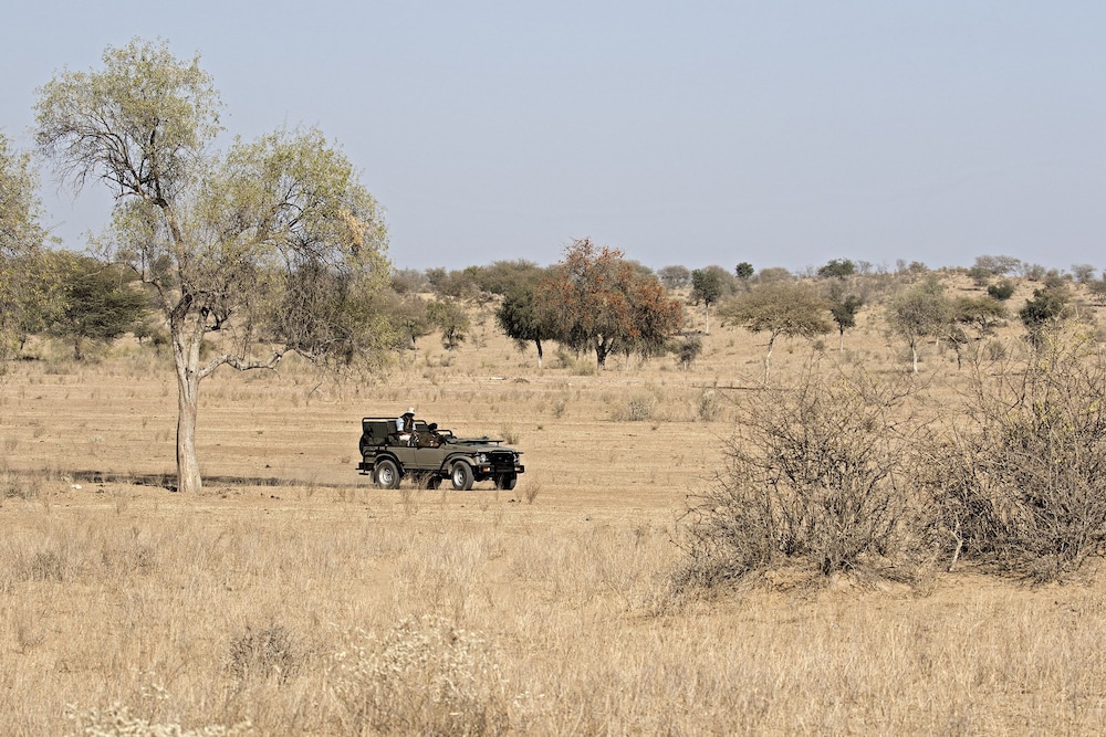 manvar shergarh the desert resort