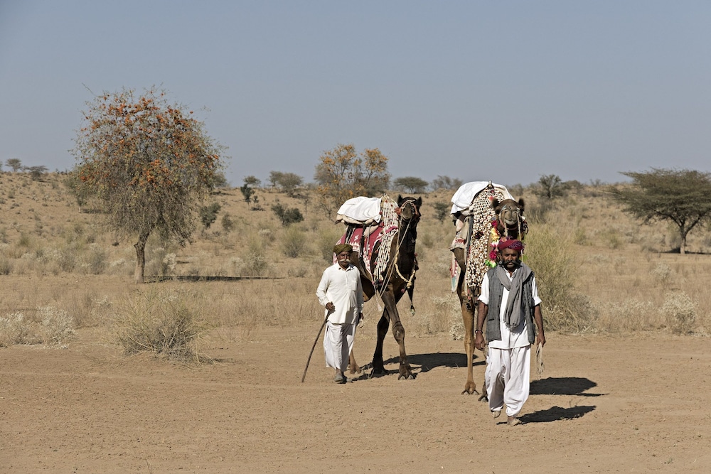 manvar shergarh the desert resort