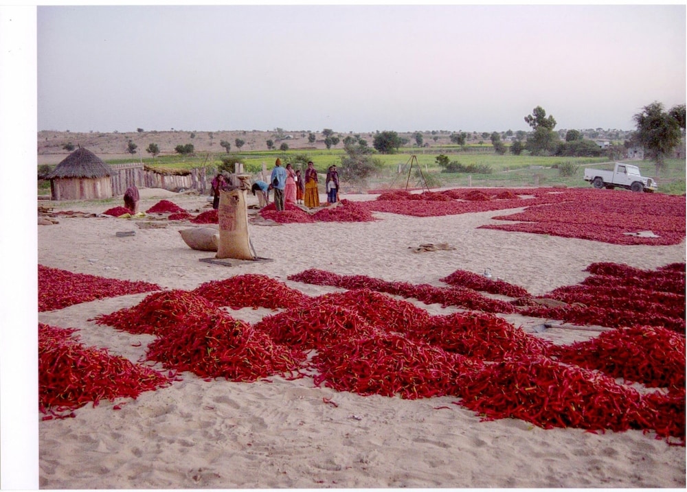 manvar shergarh the desert resort