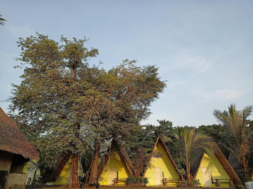 penginapan bunar tunggal dan resto seafood