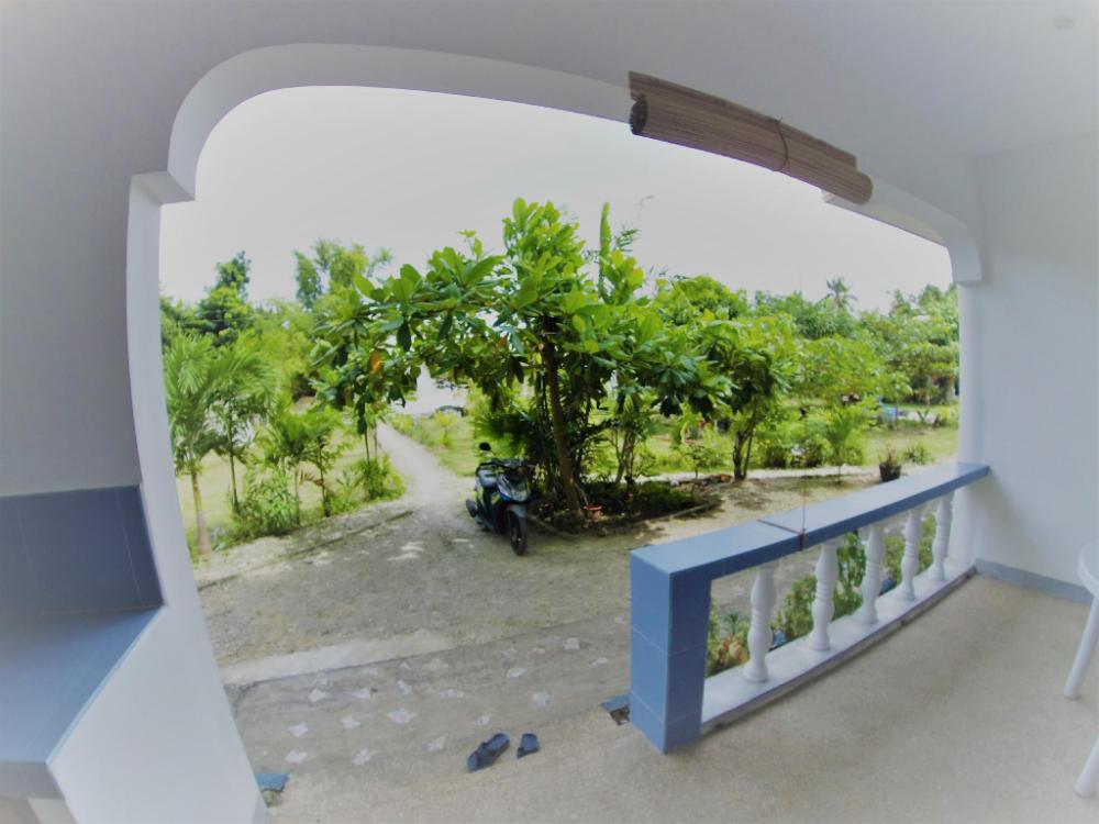 mangoes place