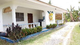 mangoes place