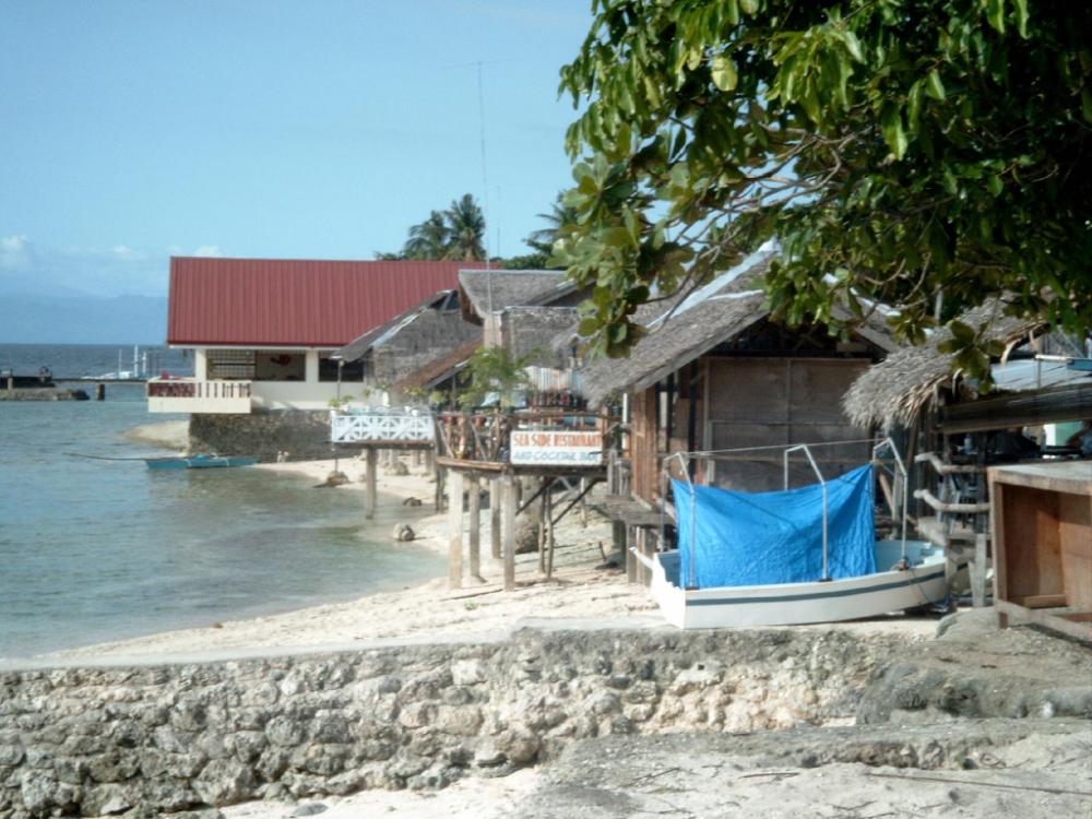 mangoes place
