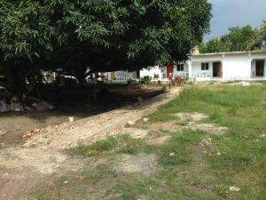 mangoes place