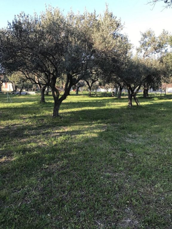 bandb ripari di giobbe