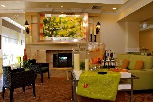 hilton garden inn albany