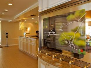 hilton garden inn albany