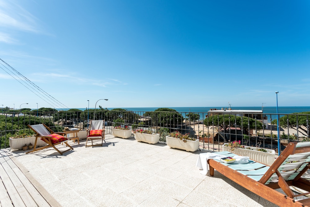 palos de la frontera