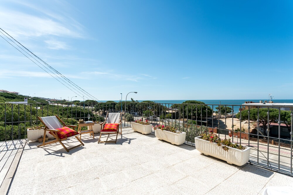 palos de la frontera